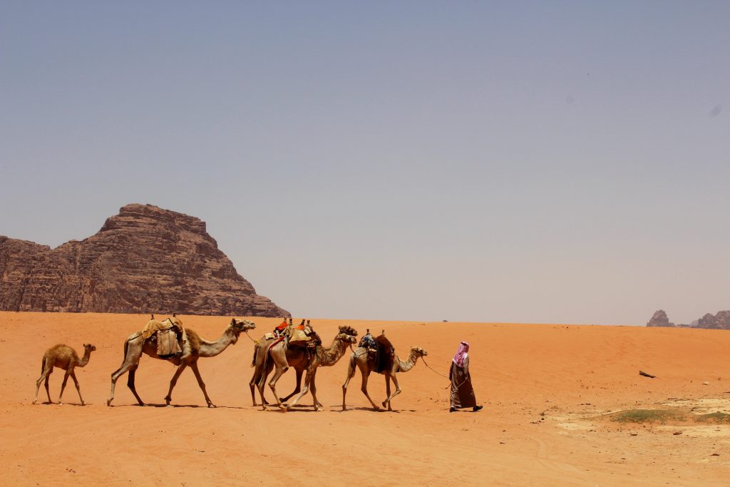 wadi rum