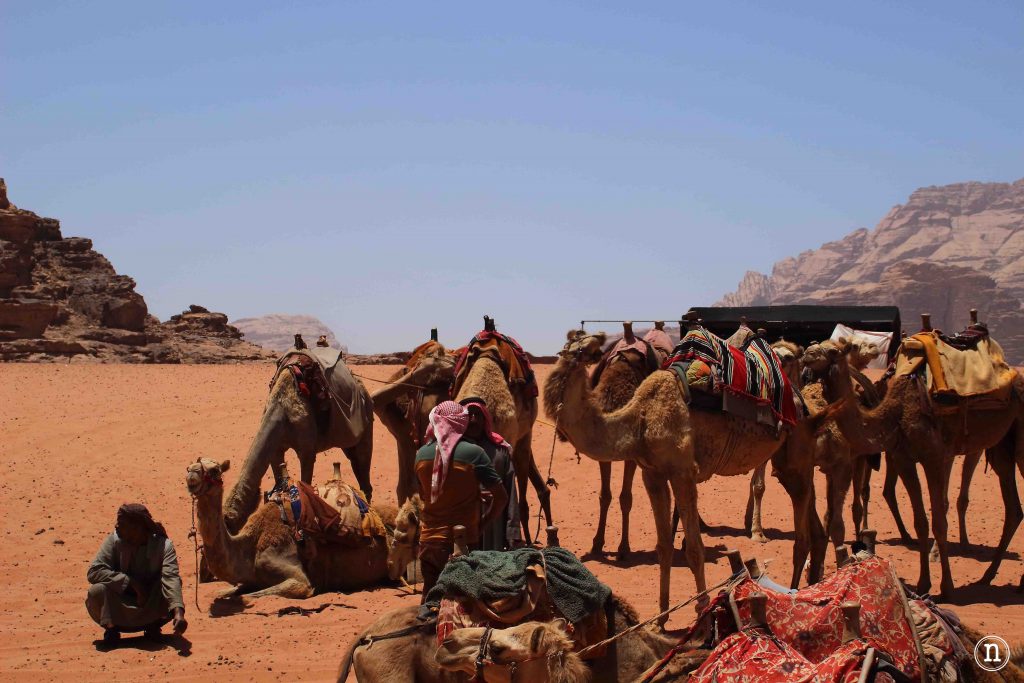wadi rum