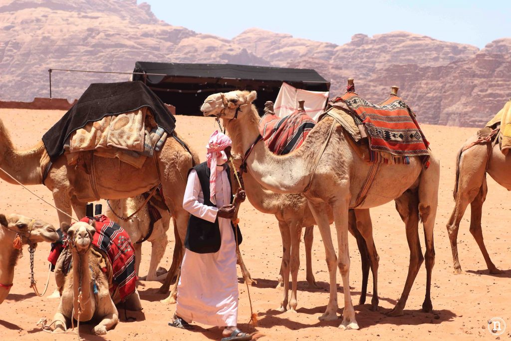 wadi rum