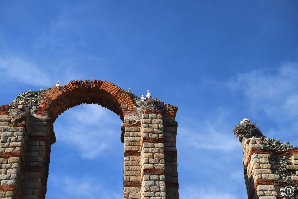 acueducto de los milagros