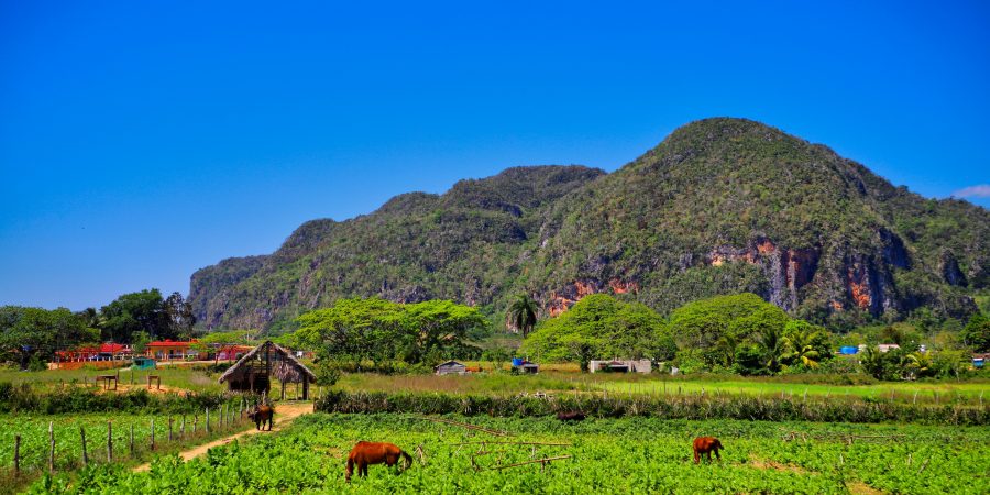 valle de viñales