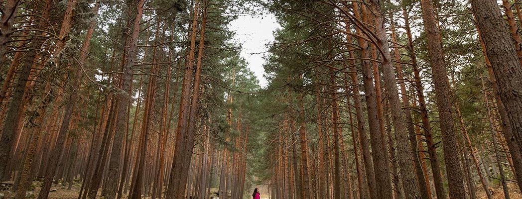 el chorro de Navafría Segovia