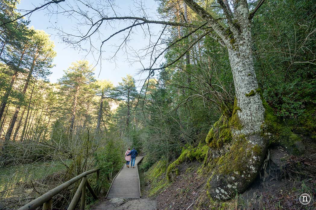 Nacimiento del río Cuervo Cuenca