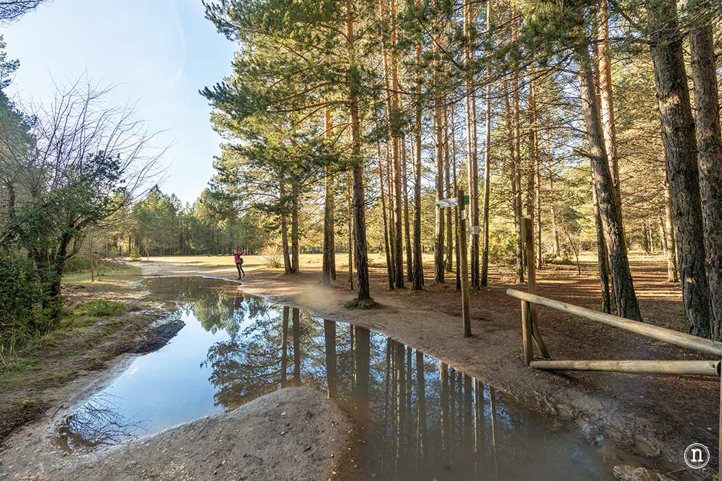 Nacimiento del río Cuervo Cuenca
