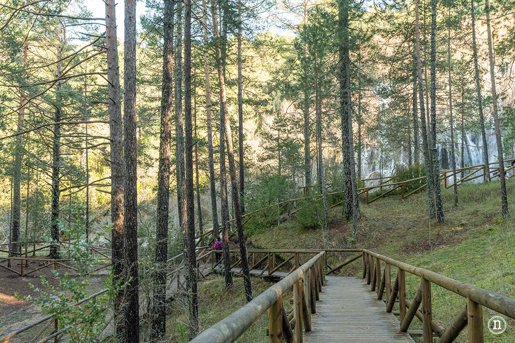 Nacimiento del río Cuervo Cuenca
