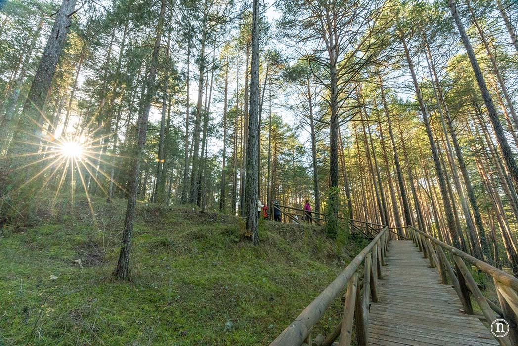 Nacimiento del río Cuervo Cuenca
