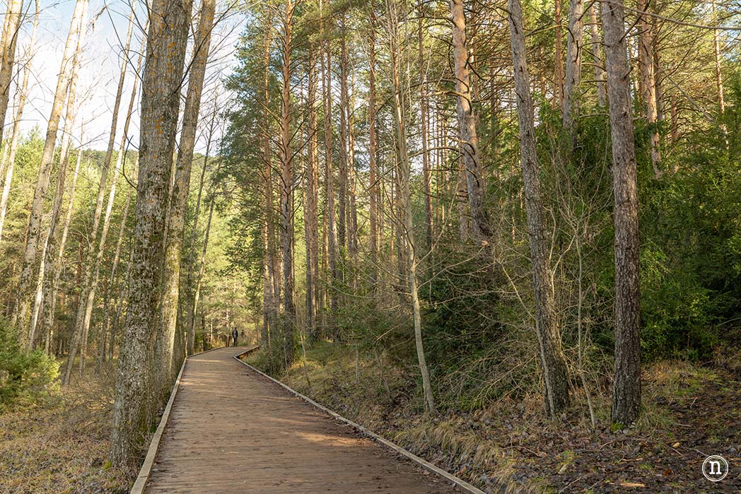 Nacimiento del río Cuervo Cuenca