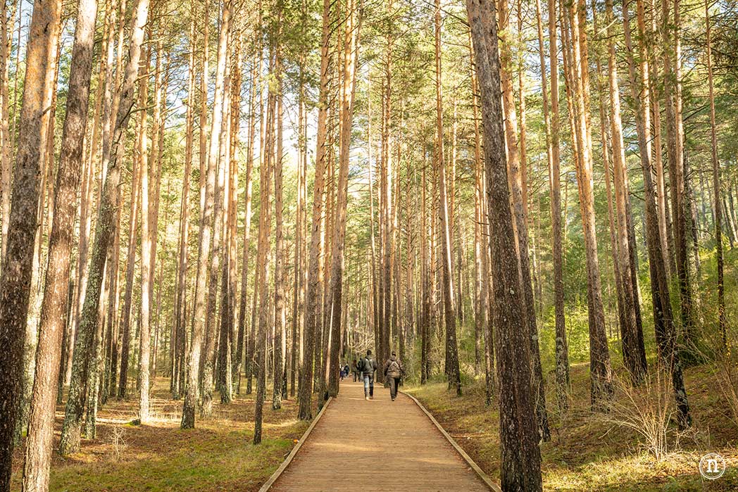 Nacimiento del río Cuervo Cuenca