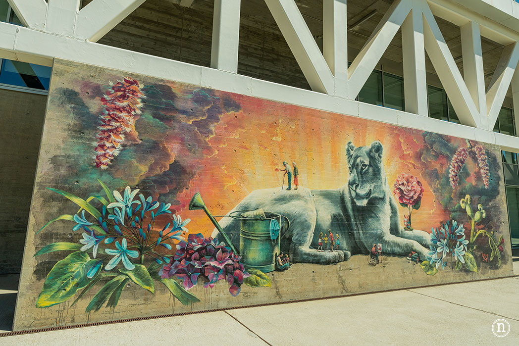 MURALES DE SANTANDER