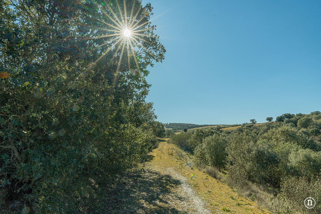 Castillo de Alba de Aliste, Zamora 