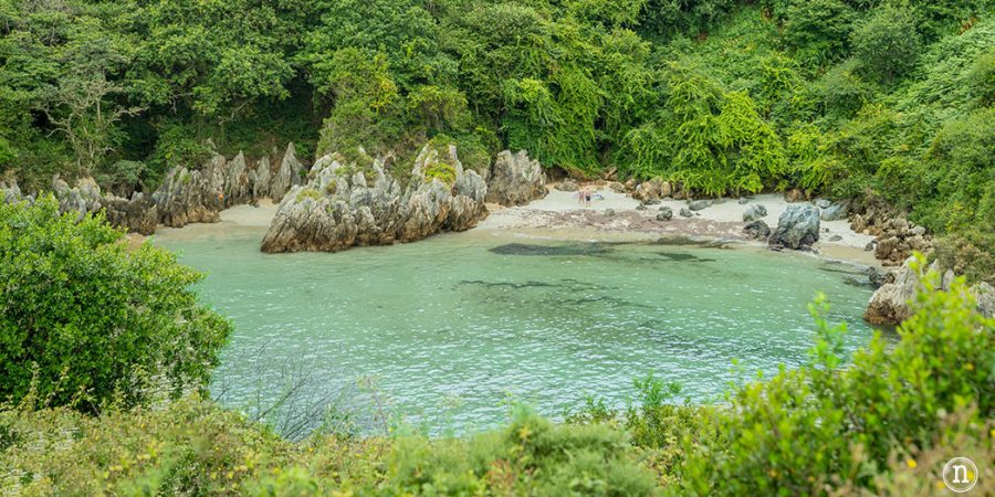 Costa de Prellezo, Cantabria