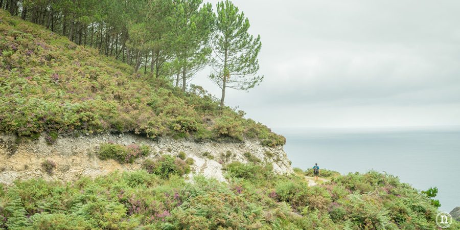 Senda Costera de Prellezo y Monte Jerra