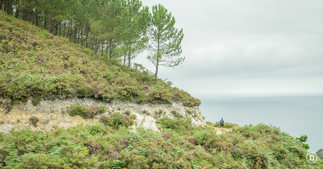 Senda Costera de Prellezo y Monte Jerra