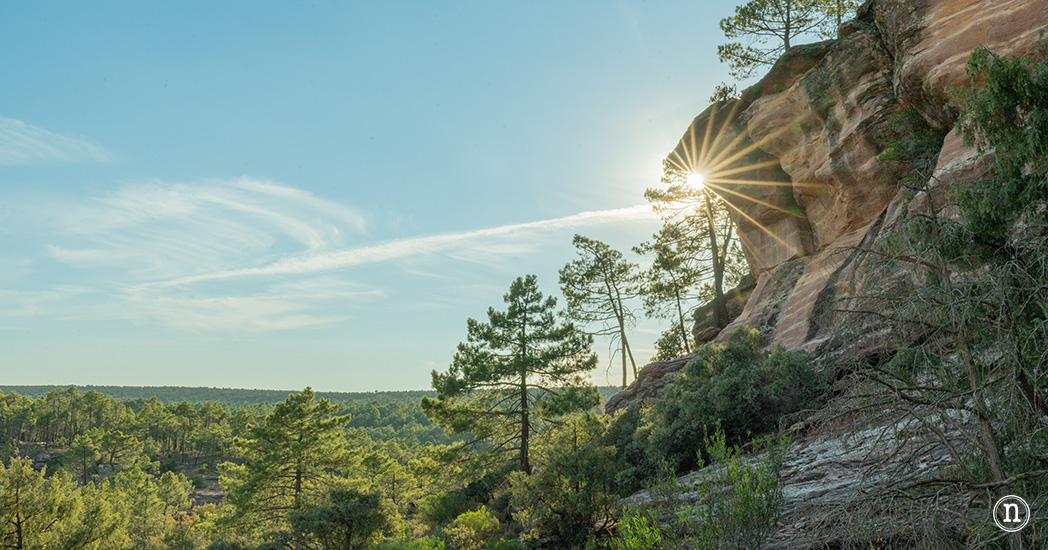 Las Corbeteras de Pajaroncillo, Serranía de Cuenca