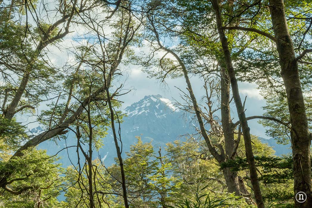 Sendero de los Arrayanes en el Circuito Chico en Bariloche