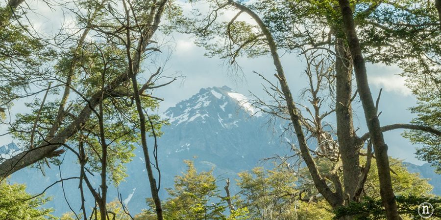 Sendero de los Arrayanes en el Circuito Chico en Bariloche