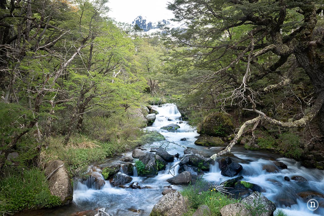 Cerro Tronador y Cascada los Alerces