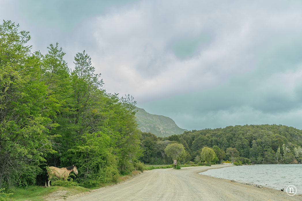 Cerro Tronador y Cascada los Alerces