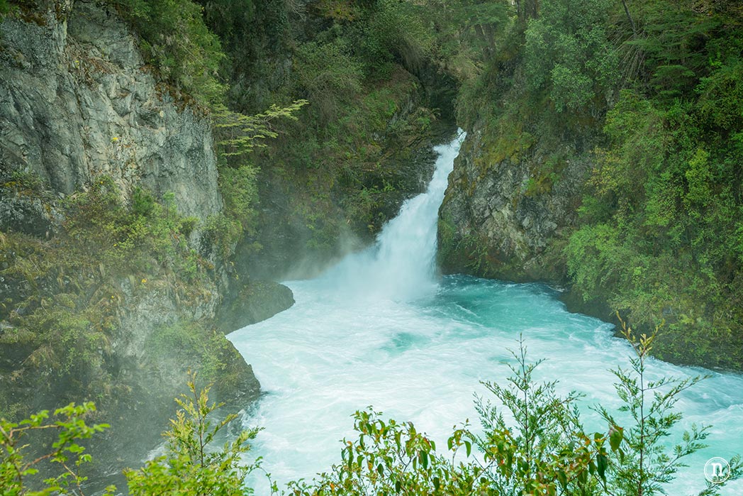 Cerro Tronador y Cascada los Alerces