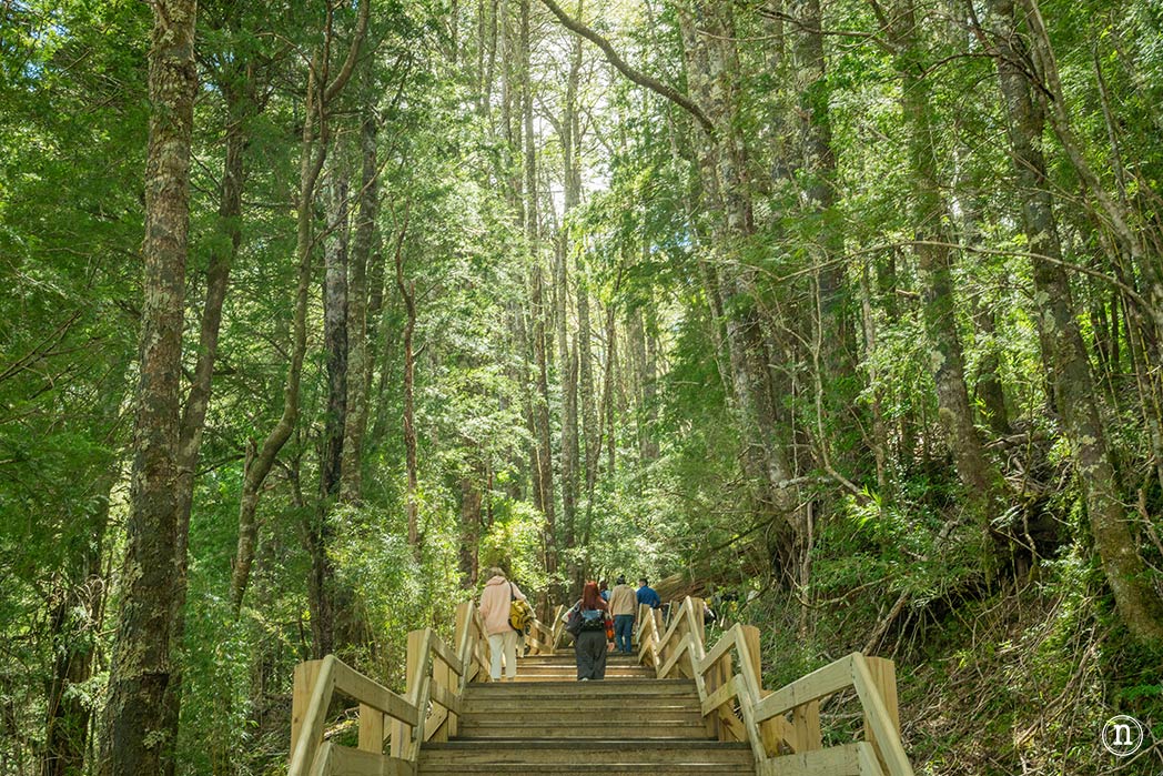 Puerto Blest, Lago Frías y Cascada de los Cántaros