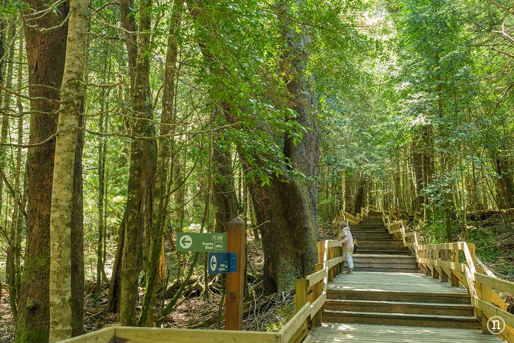 Puerto Blest, Lago Frías y Cascada de los Cántaros