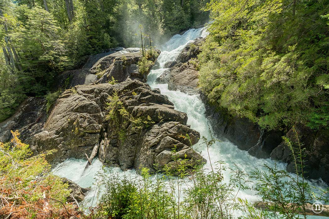 Puerto Blest, Lago Frías y Cascada de los Cántaros