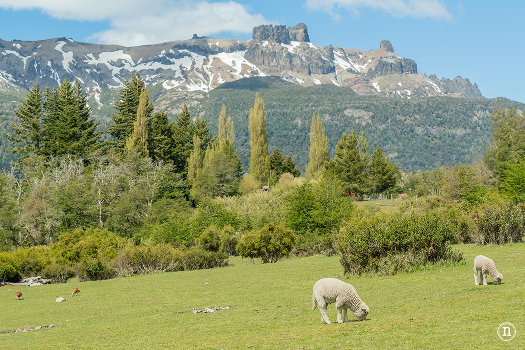 Ruta de los 7 Lagos desde Bariloche a San Martín de los Andes