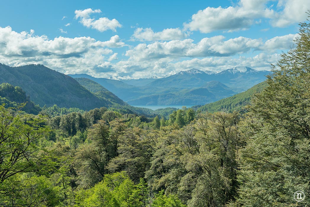 Ruta de los 7 Lagos desde Bariloche a San Martin de los Andes 