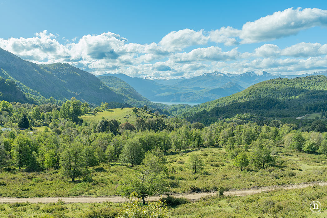 Ruta de los 7 Lagos desde Bariloche a San Martín de los Andes