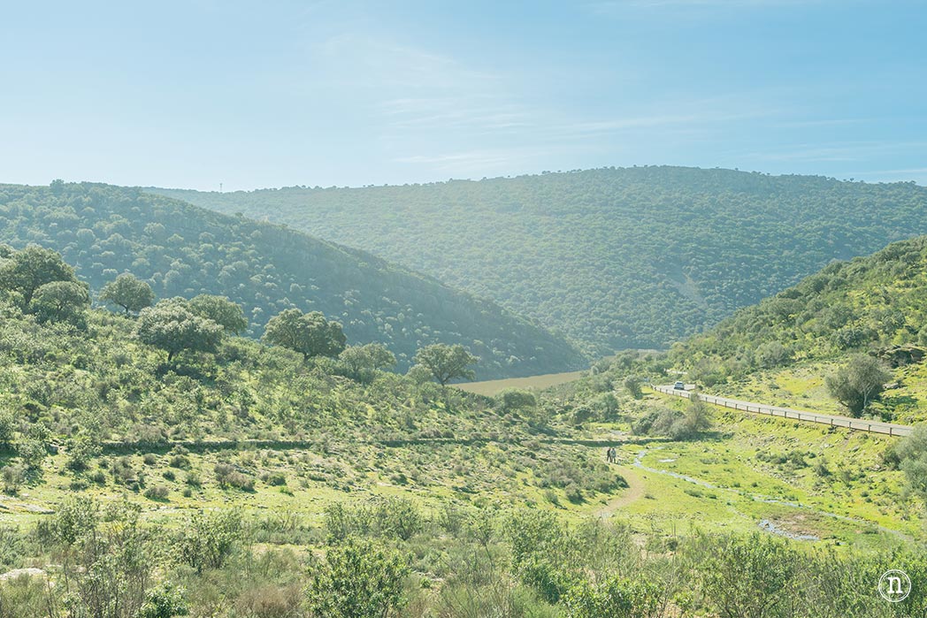 Parque Nacional de Monfragüe, castillo, buitres y Salto del Gitano