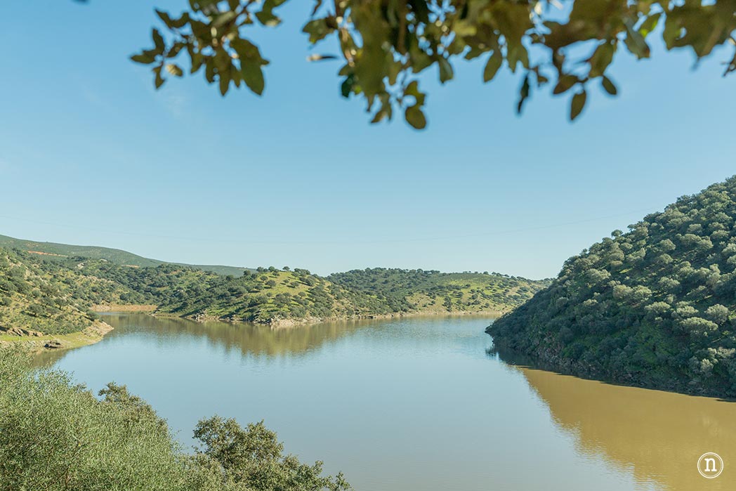 Parque Nacional de Monfragüe, castillo, buitres y Salto del Gitano