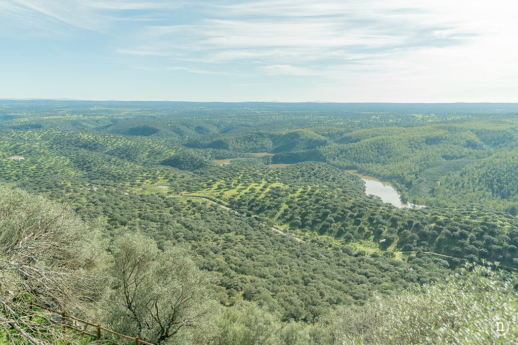 Parque Nacional de Monfragüe, castillo, buitres y Salto del Gitano