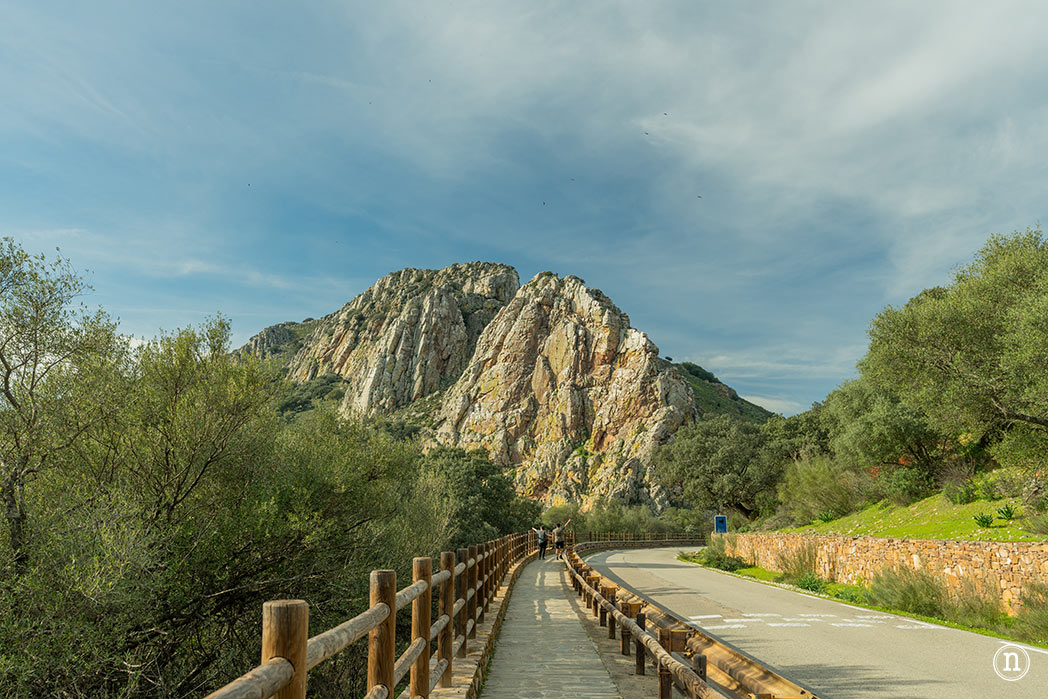 Parque Nacional de Monfragüe, castillo, buitres y Salto del Gitano