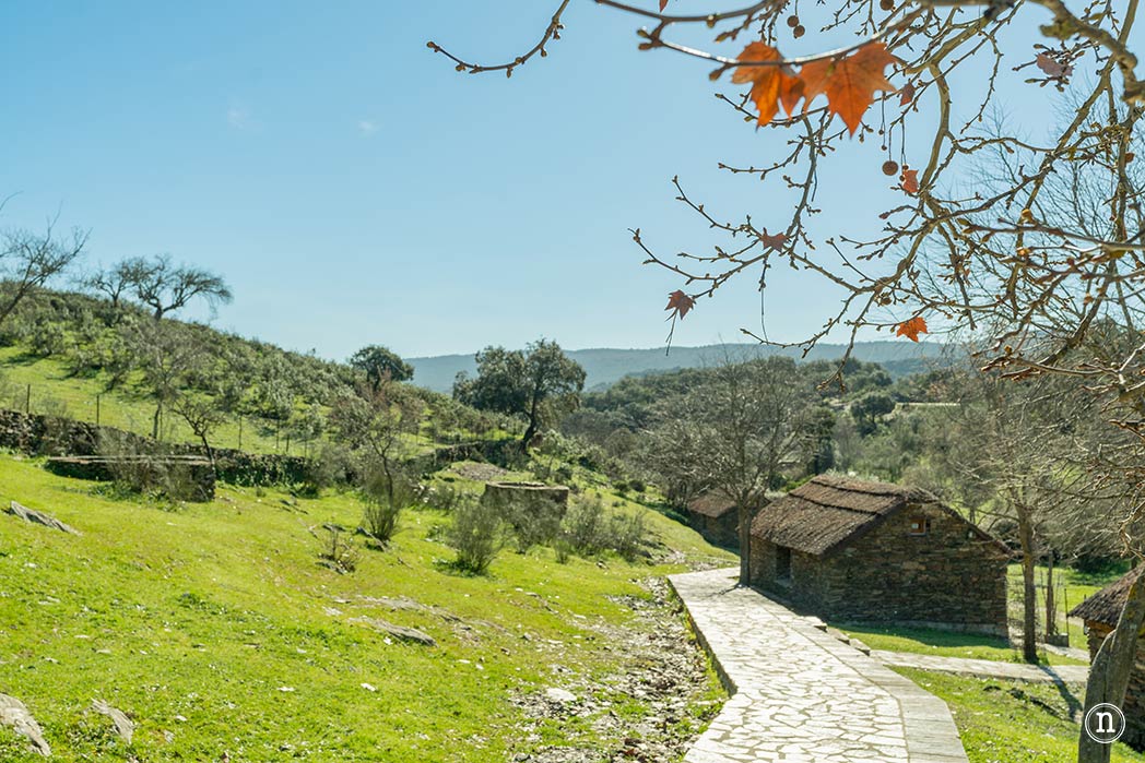 Parque Nacional de Monfragüe, castillo, buitres y Salto del Gitano