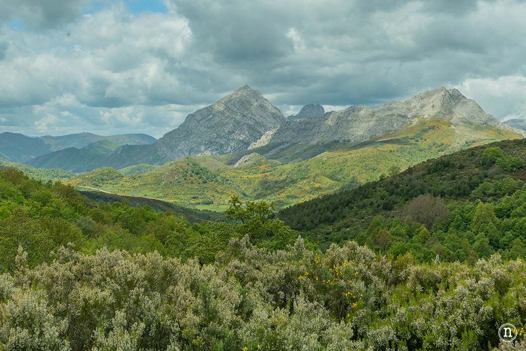 Bosque Encantado de Carande, Senda de la Mitología Leonesa