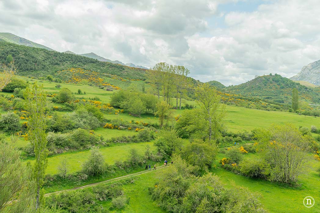Bosque Encantado de Carande, Senda de la Mitología Leonesa
