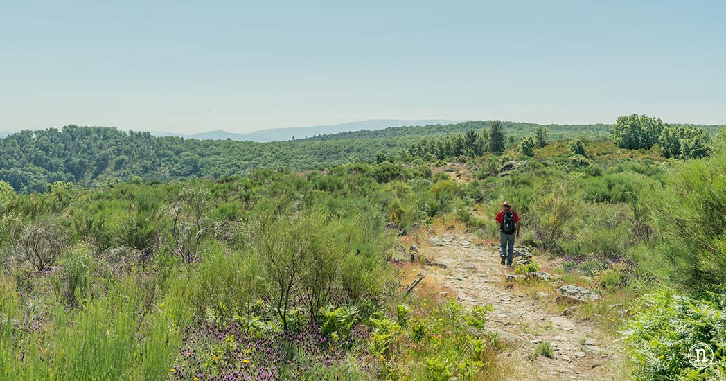 Ruta los molinos y yacimientos visigodos, San Martin del Castañar