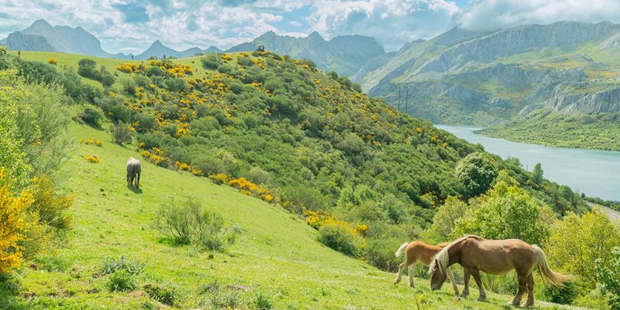 Riaño y la montaña leonesa, que ver a las puertas del cielo