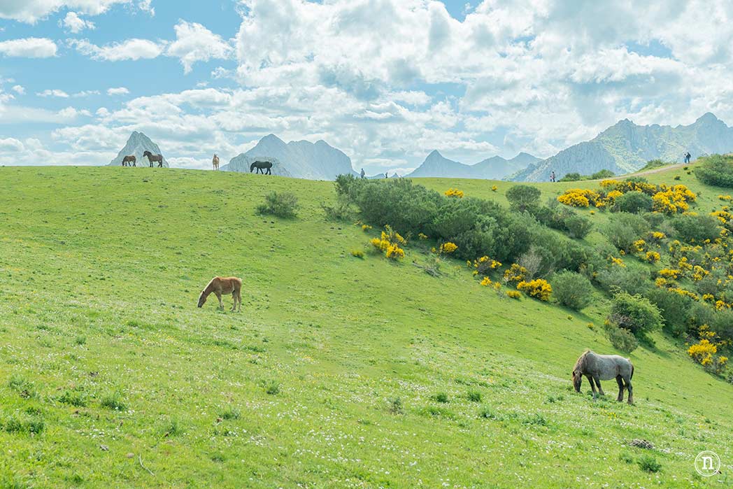 Riaño y la montaña leonesa, que ver a las puertas del cielo
