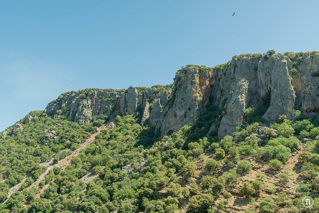 Sierra de Cazorla, Jaén que ver y hacer en este paraíso natural
