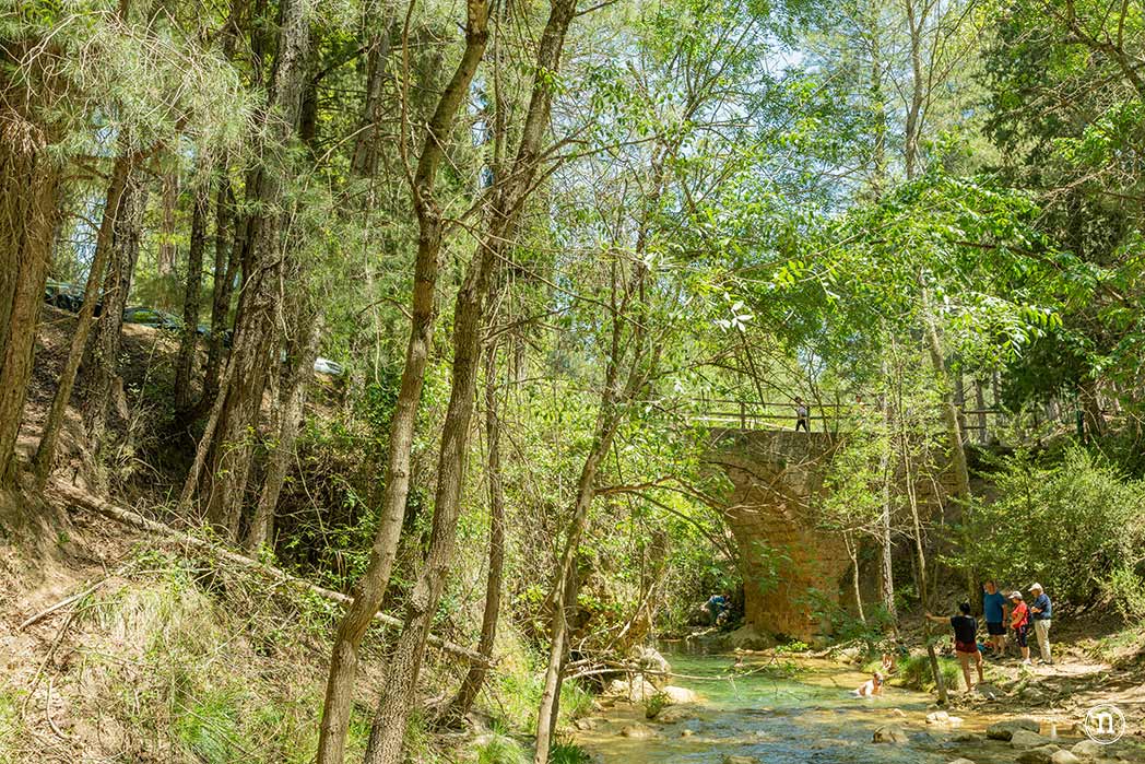 Sierra de Cazorla, Jaén que ver y hacer en este paraíso natural