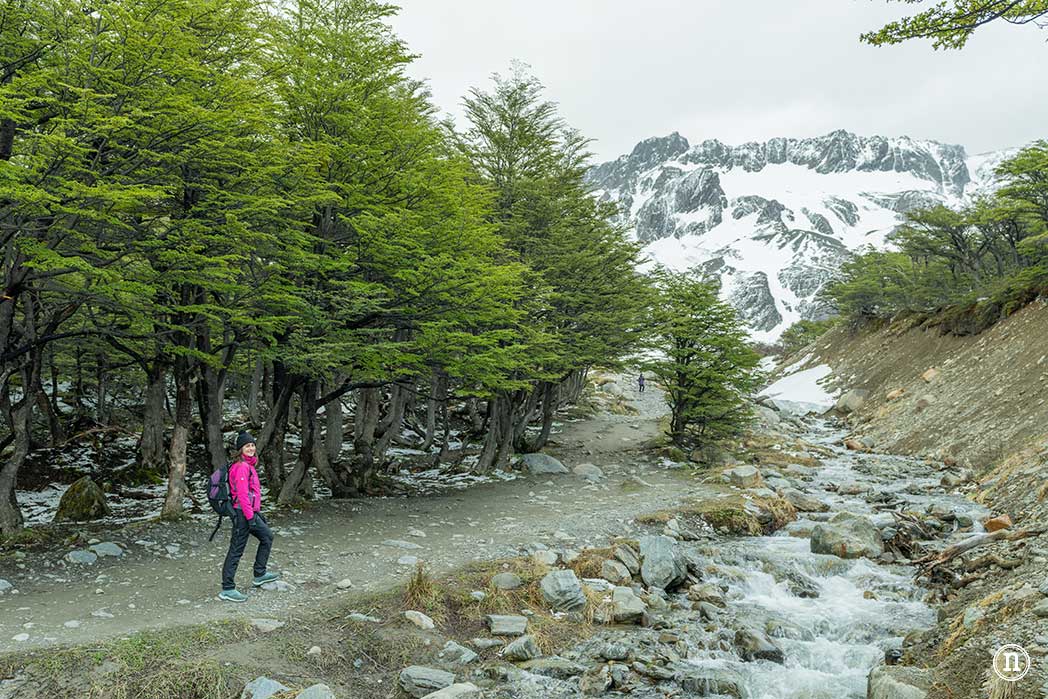 Glaciar Martial, nuestro primer trekking en Ushuaia 