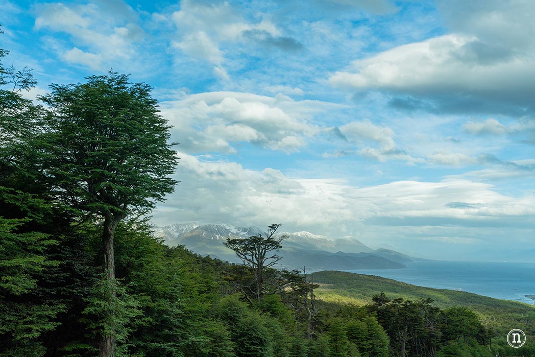 Glaciar Martial, nuestro primer trekking en Ushuaia 