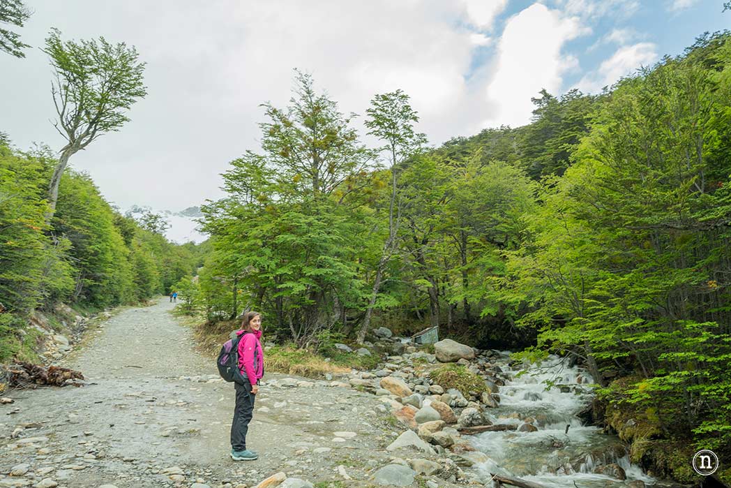 Glaciar Martial, nuestro primer trekking en Ushuaia