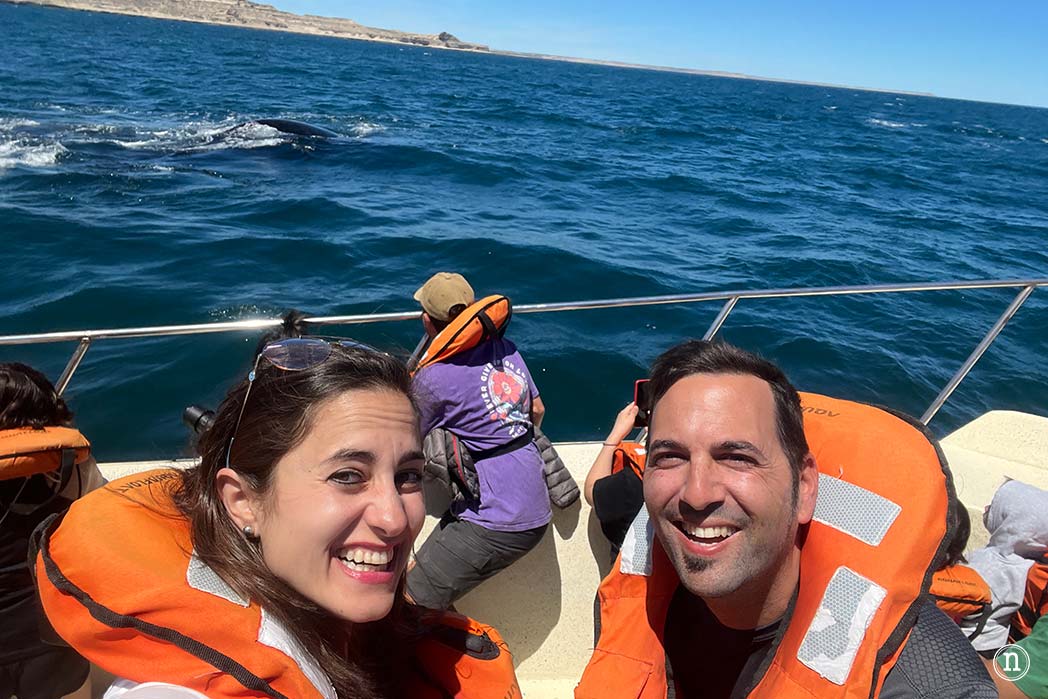 Ballenas en Península Valdés