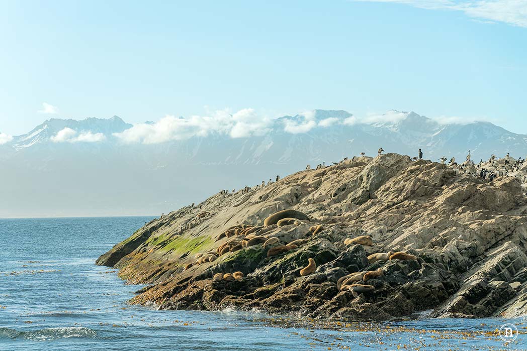Canal Beagle y Faro Les Éclaireurs, navegando en el fin del mundo
