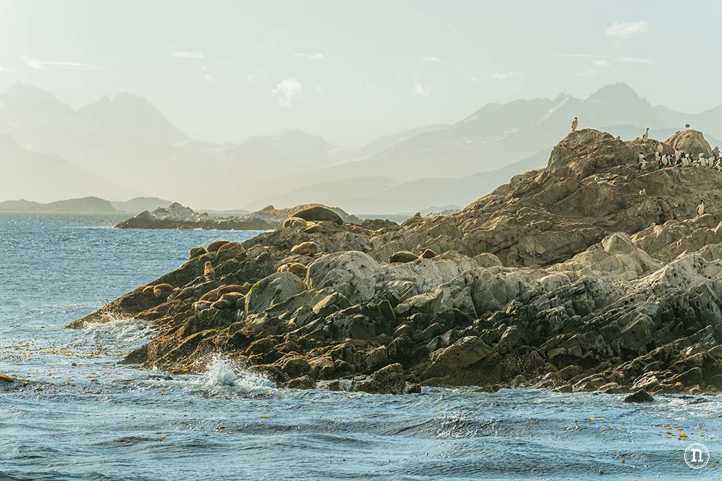Canal Beagle y Faro Les Éclaireurs, navegando en el fin del mundo Itinerario detallado en Argentina para tres semanas