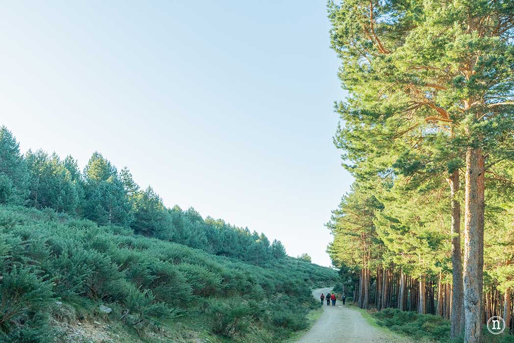 Chorrera de los Litueros, la cascada más alta de Madrid