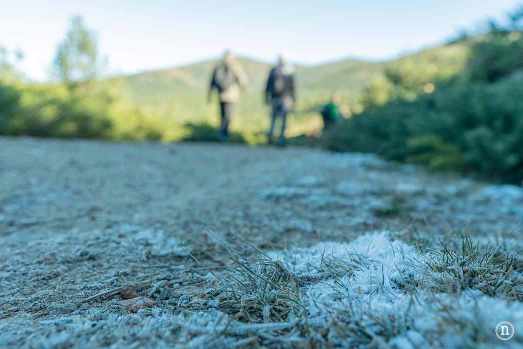 Chorrera de los Litueros, la cascada más alta de Madrid