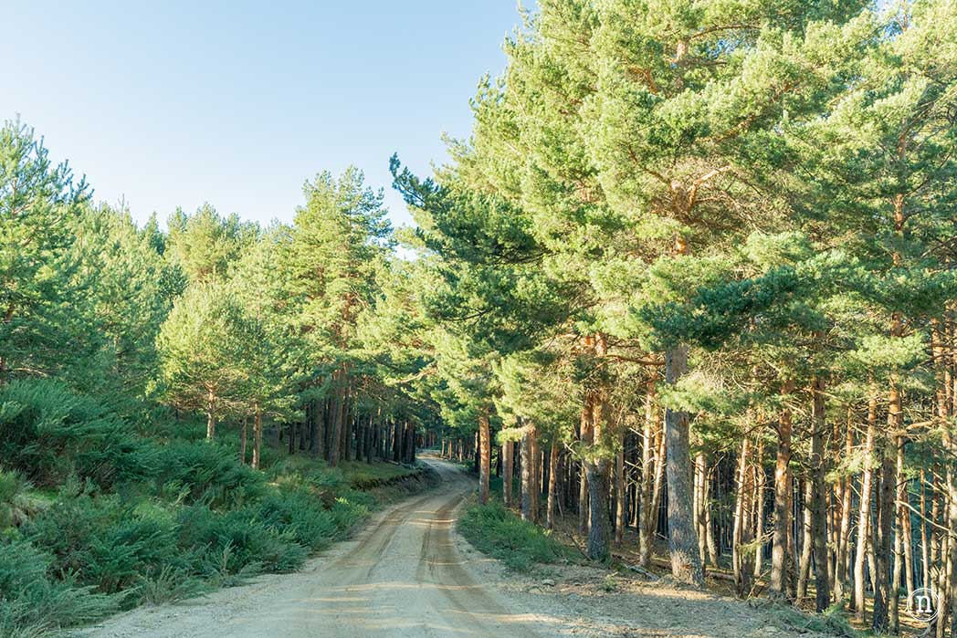 Chorrera de los Litueros, la cascada más alta de Madrid
